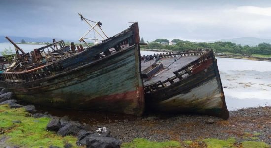 mull-2233307_1280.jpg